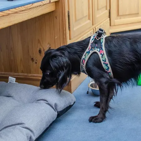 Hotel&restaurant Haus Am Hotel