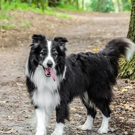 & Restaurant Haus Am